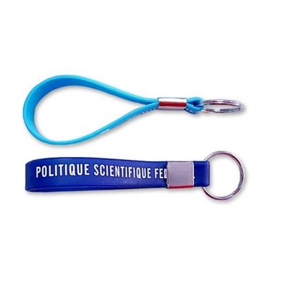 Pendentes 100% do silicone Keychain relativo à promoção, acessórios do metal, cor de Pantone